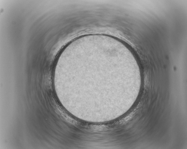 X0000059061498200510281619