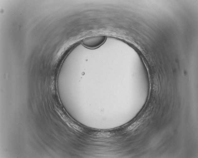 X0000059061499200510281619