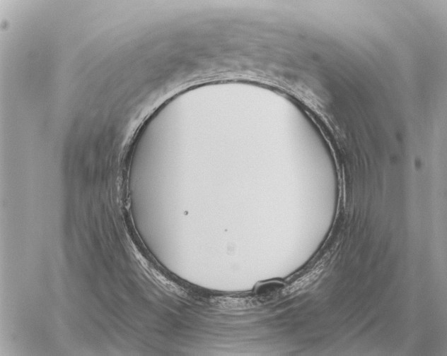 X0000059061500200510281619