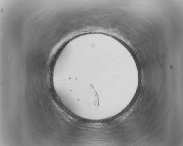 X0000059061502200510281619