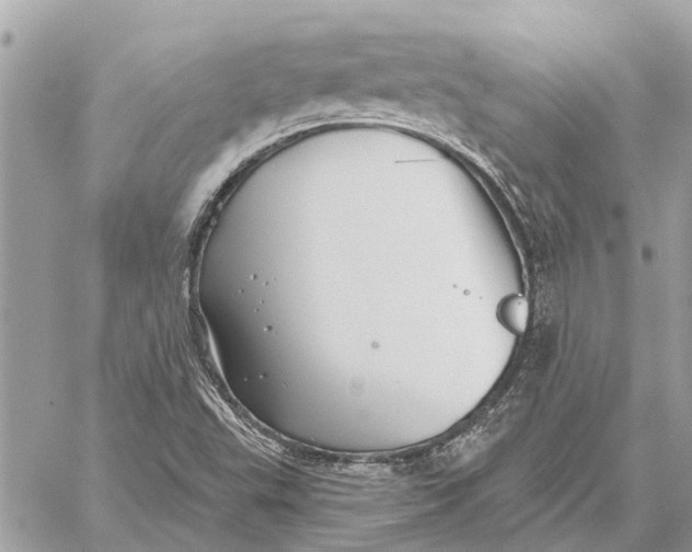 X0000059061503200510281619