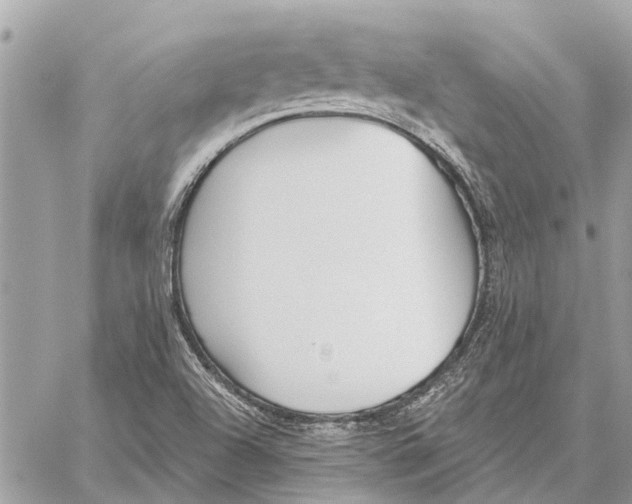 X0000059061504200510281619