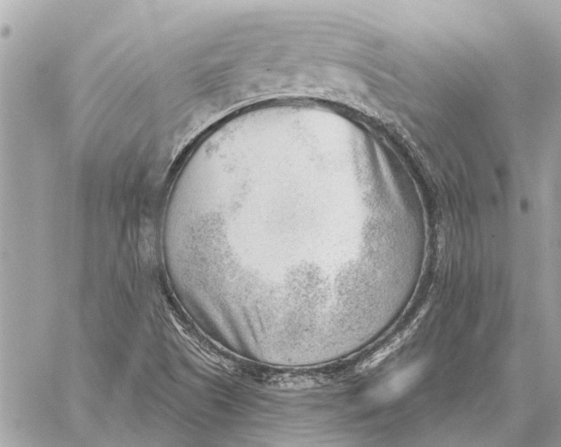 X0000059061505200510281619