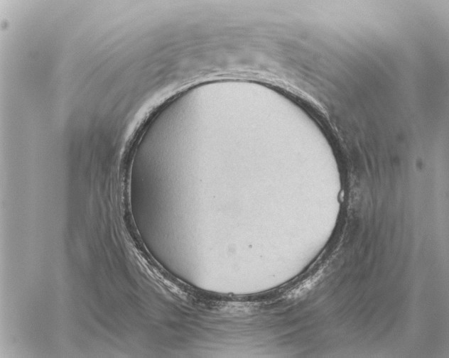 X0000059061506200510281619