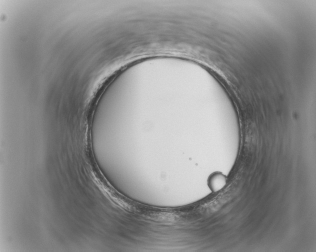 X0000059061507200510281619