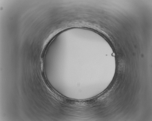 X0000059061509200510281619