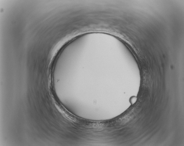 X0000059061511200510281619