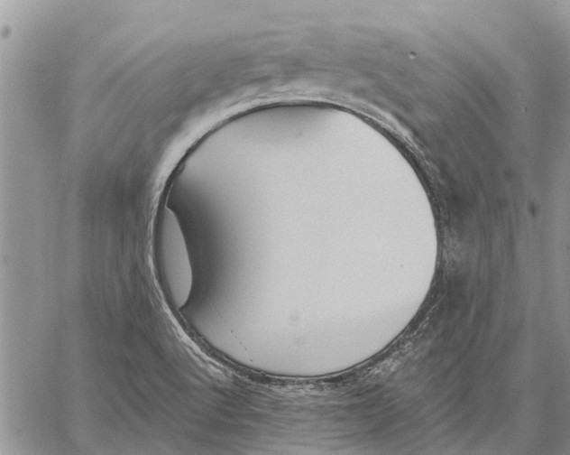 X0000059061512200510281619