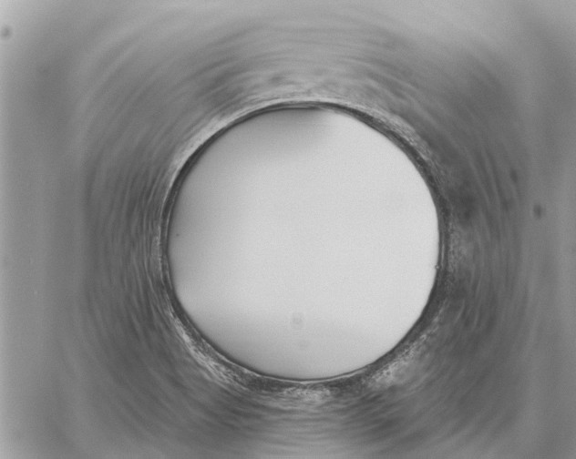 X0000059061513200510281619