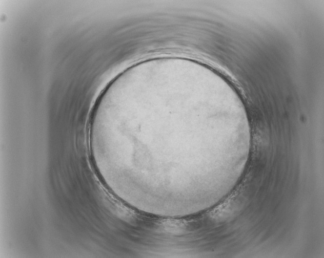 X0000059061514200510281619