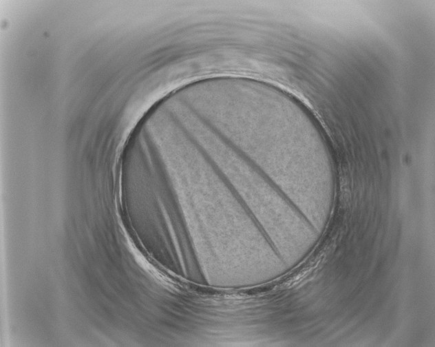 X0000059061515200510281619