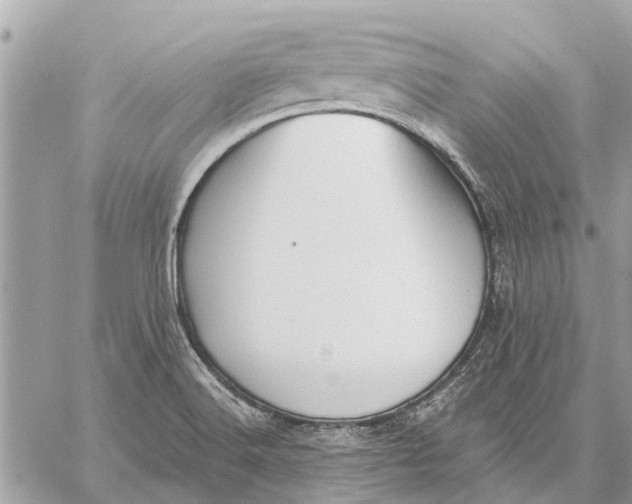 X0000059061516200510281619