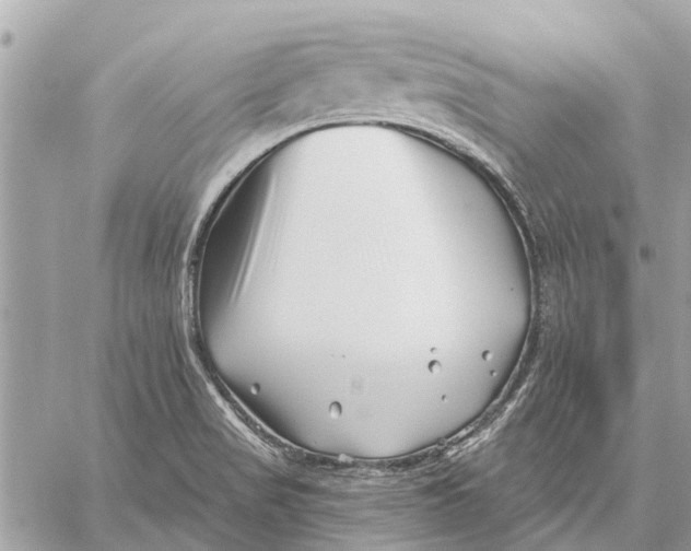 X0000059061517200510281619