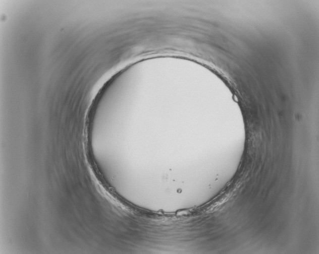 X0000059061518200510281619