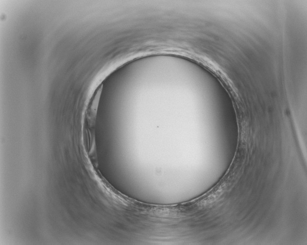 X0000059061520200510281619