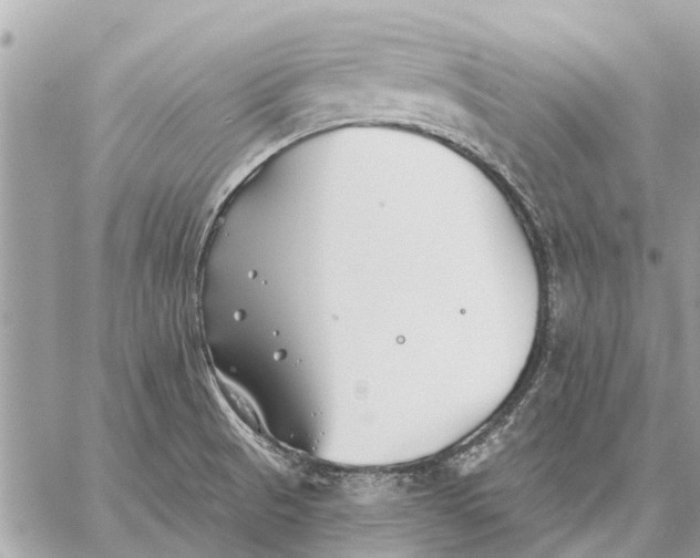 X0000059061521200510281619