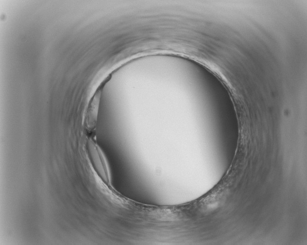 X0000059061524200510281620