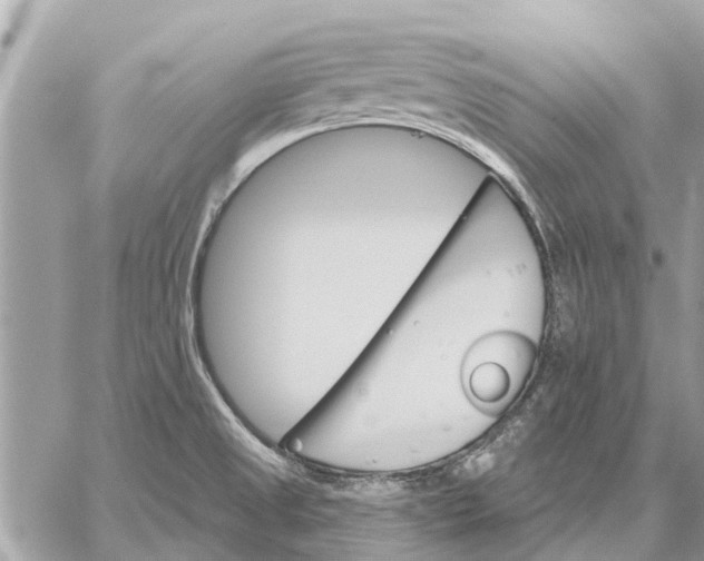 X0000059061525200510281620