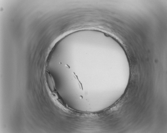 X0000059061526200510281620