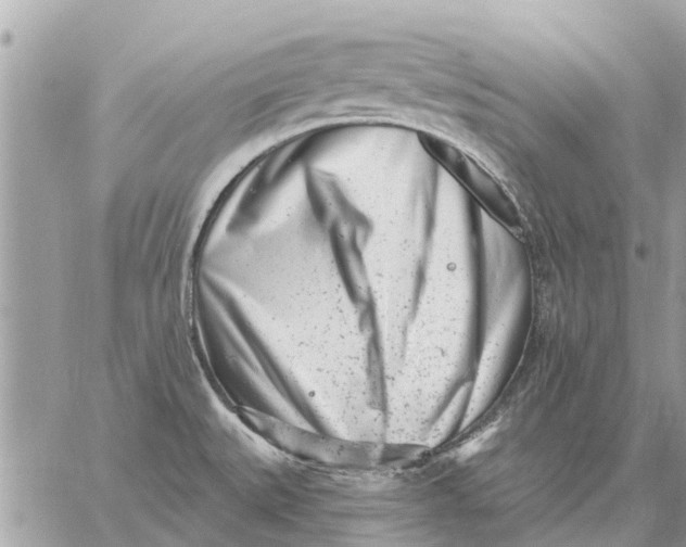 X0000059061527200510281620