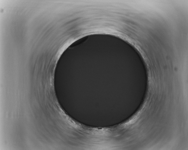 X0000059061529200510281620