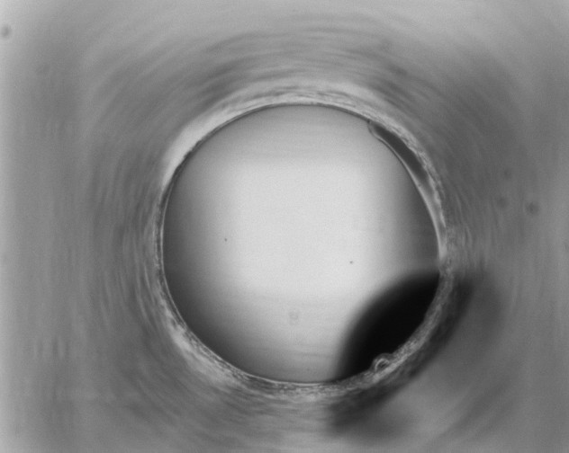 X0000059061530200510281620