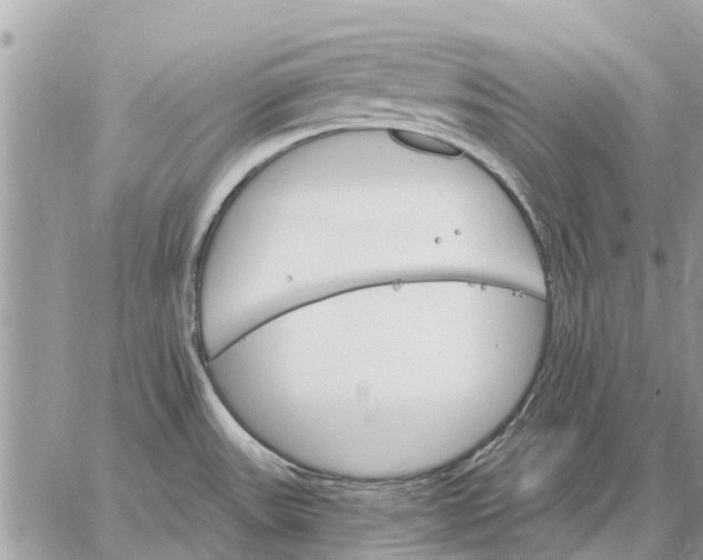 X0000059061531200510281620