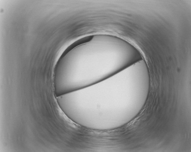 X0000059061532200510281620