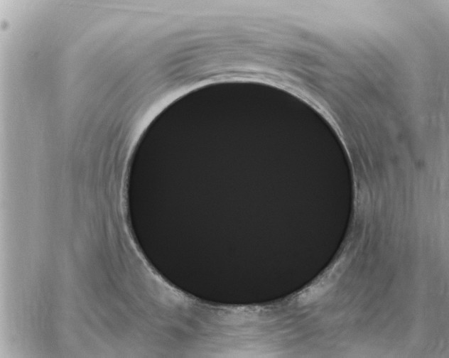 X0000059061533200510281620