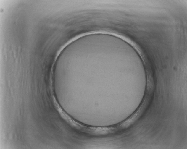 X0000059061534200510281620