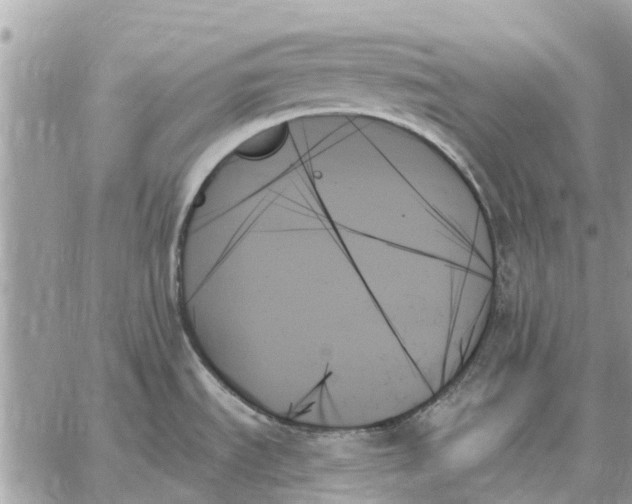 X0000059061535200510281620