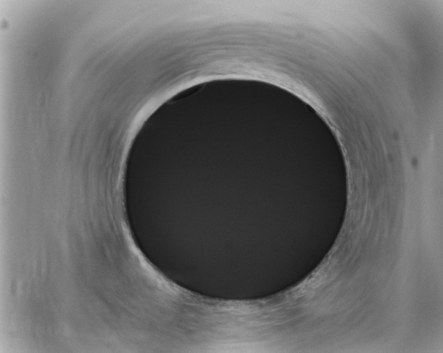 X0000059061536200510281620