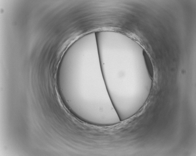 X0000059060001200511041741