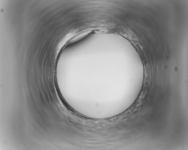 X0000059060003200511041741