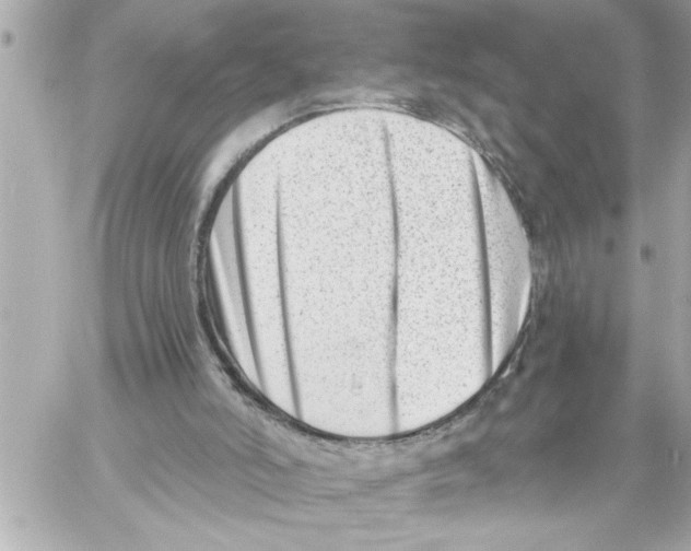 X0000059060006200511041740