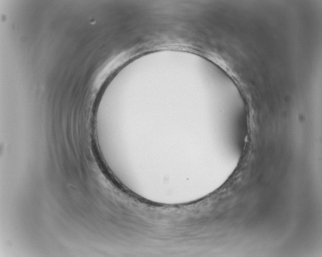 X0000059060007200511041740