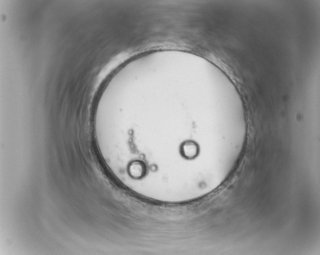 X0000059060008200511041740