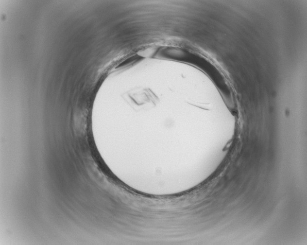 X0000059060010200511041740