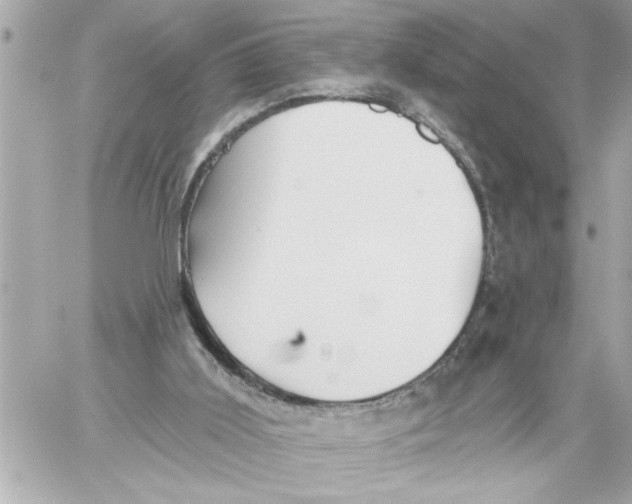 X0000059060011200511041740