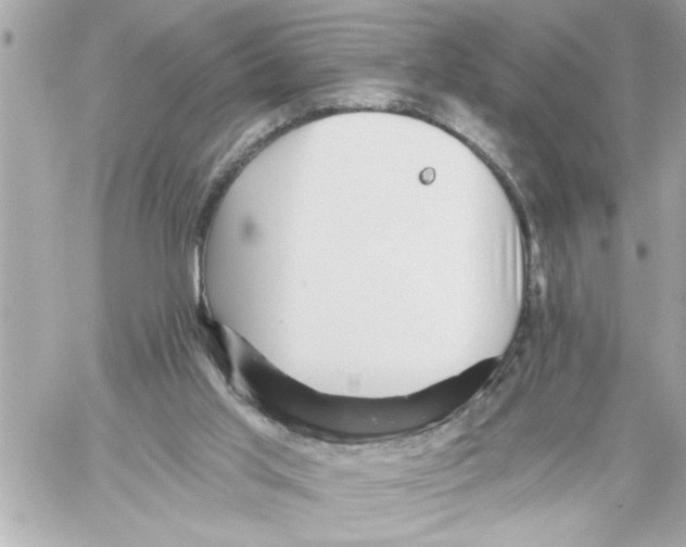 X0000059060013200511041740