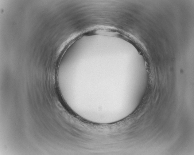 X0000059060015200511041740