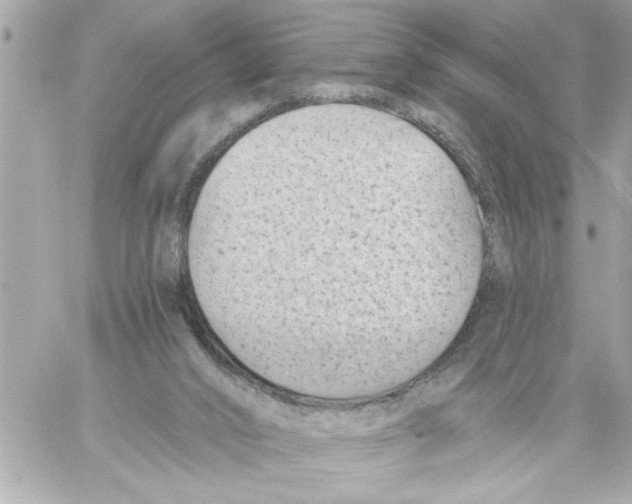 X0000059060016200511041740