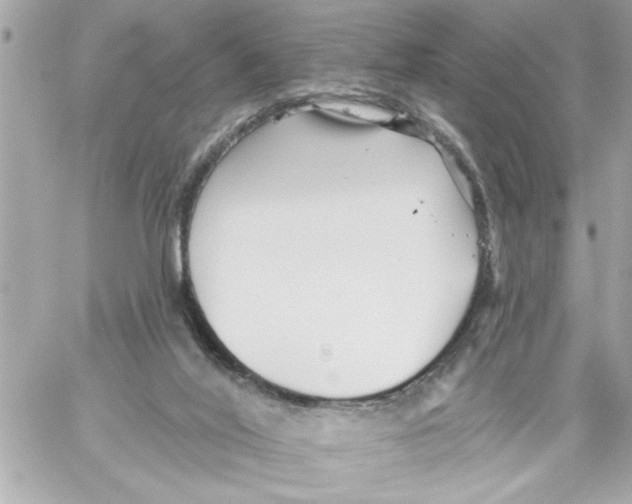 X0000059060020200511041740