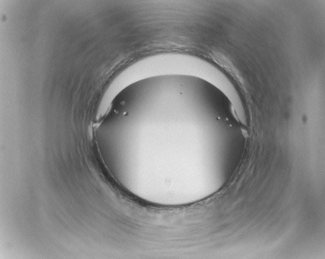 X0000059060021200511041740