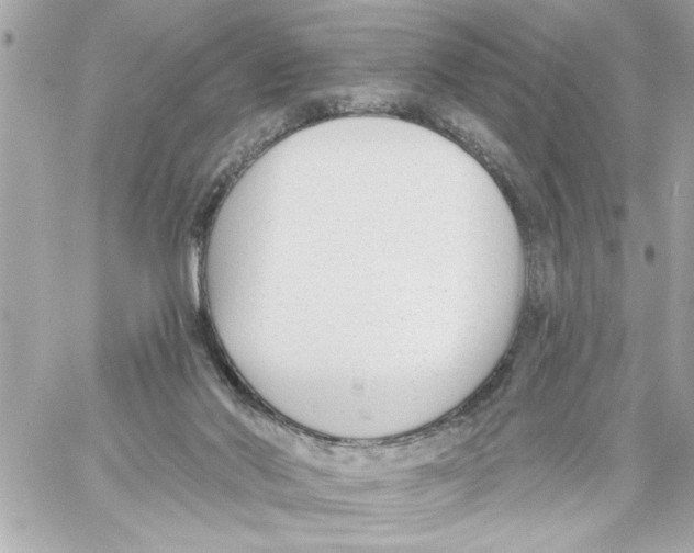 X0000059060022200511041740