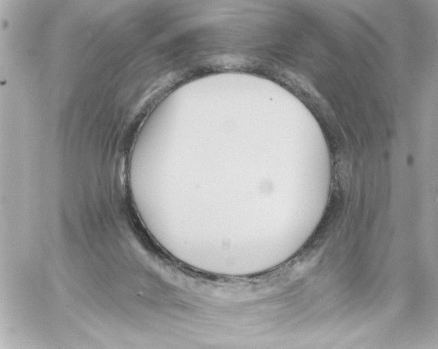 X0000059060024200511041740