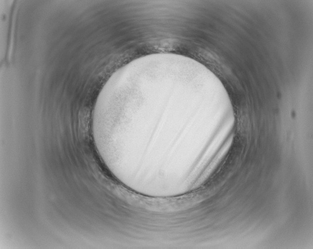 X0000059060030200511041740