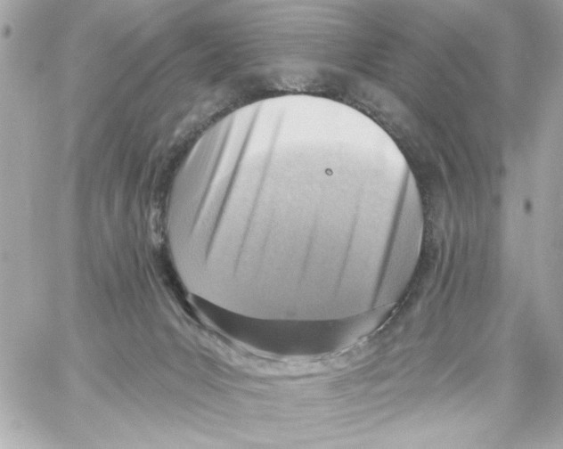 X0000059060031200511041740