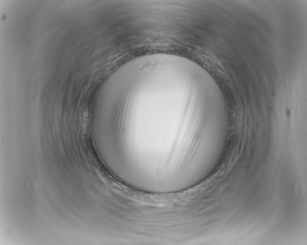 X0000059060033200511041740