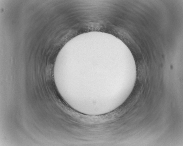 X0000059060034200511041740